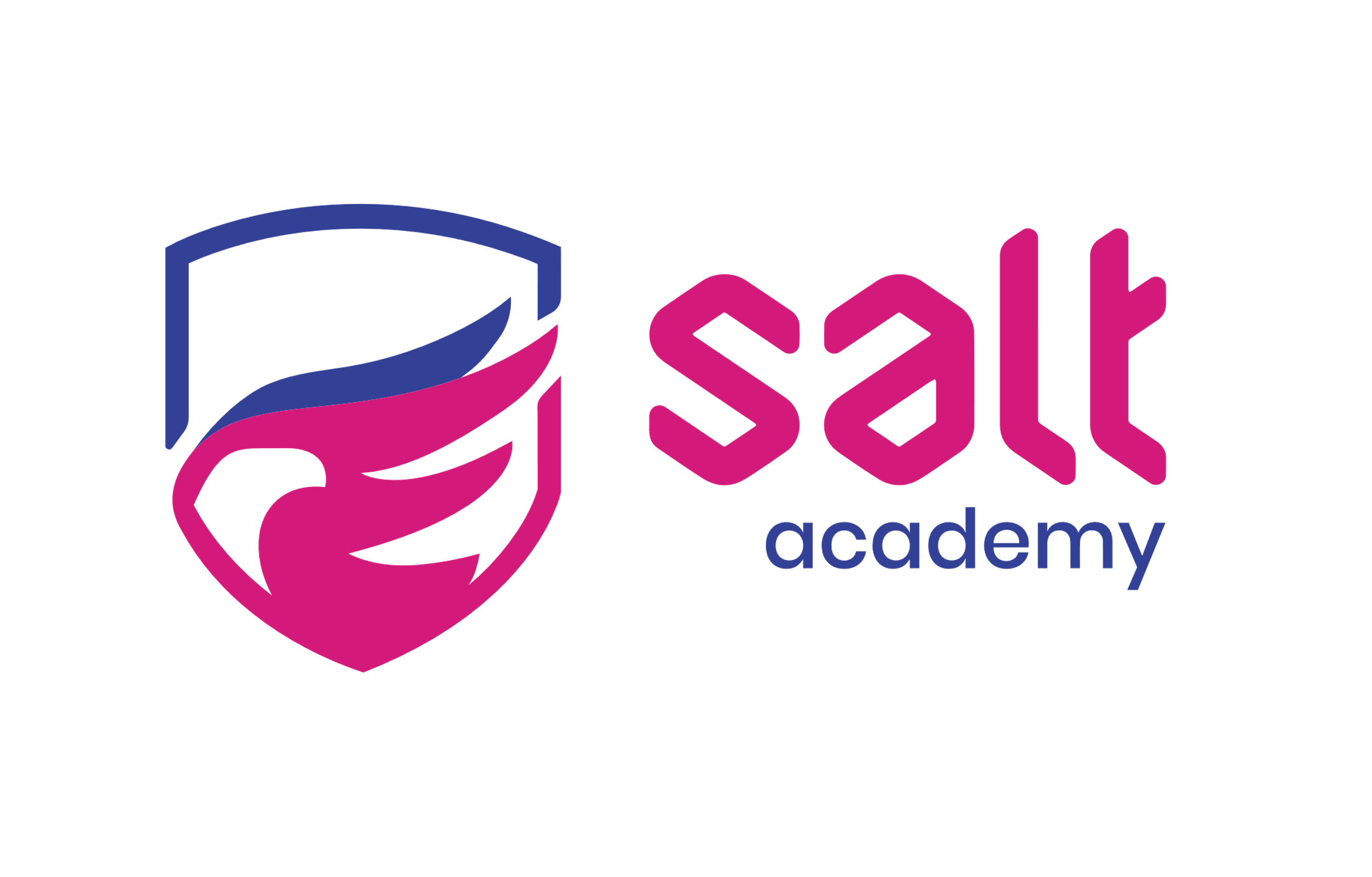 Logo Salt Academy