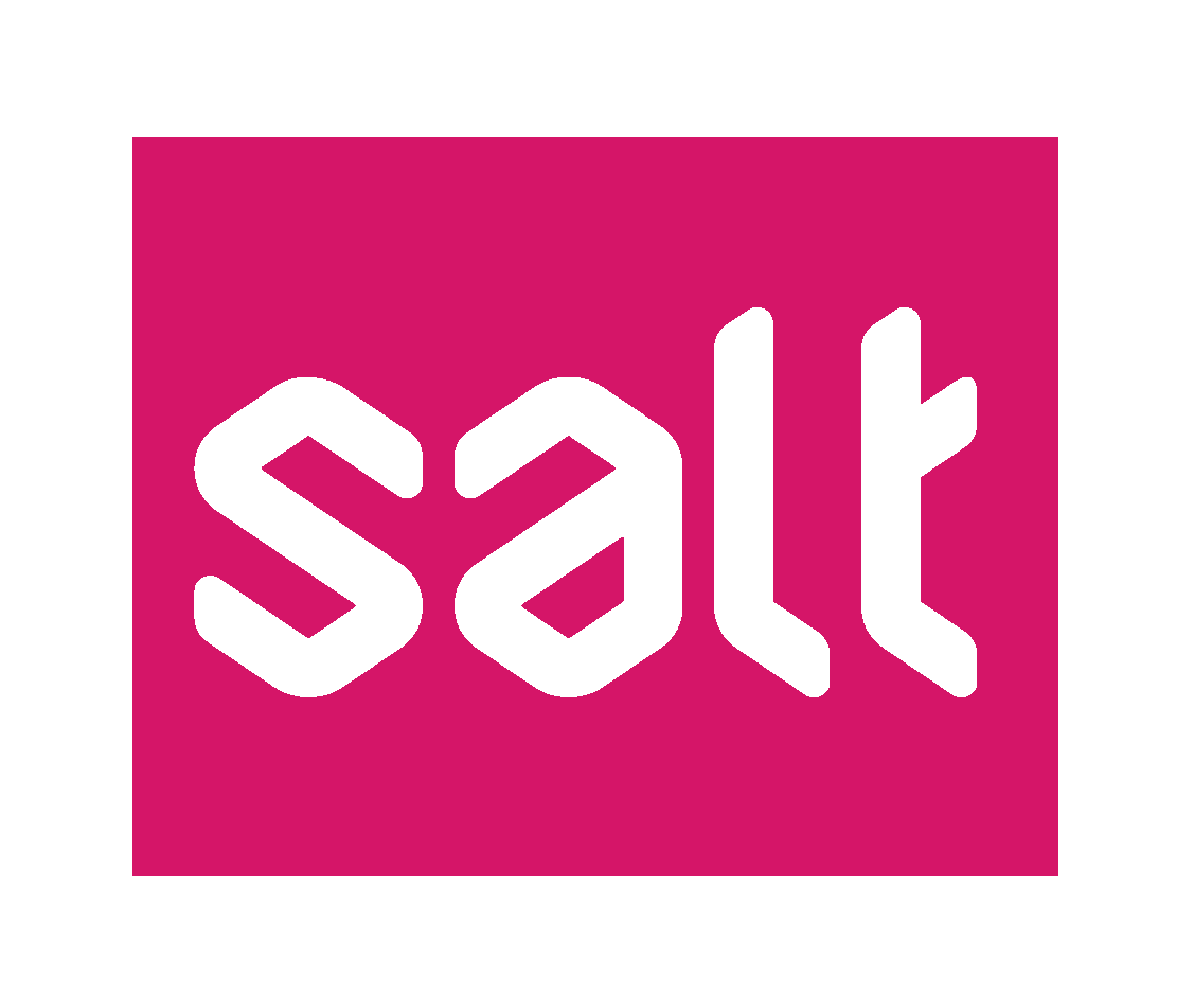 Logo Salt Academy